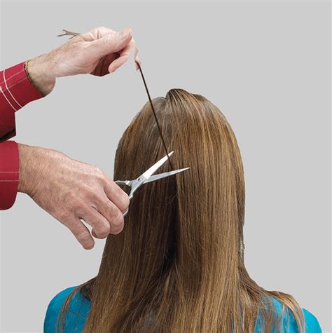 how far back does a hair follicle drug test go 4