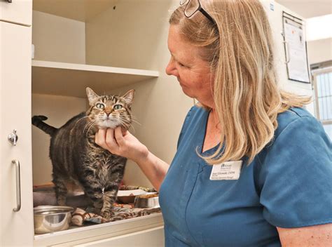 Kitsap Humane Society Vet at Ronald Piper blog