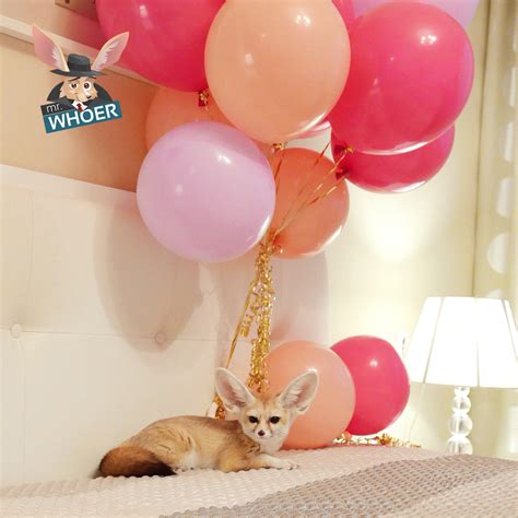 Whoer.net Team on Twitter: "Have a nice weekend, friends! #whoernet #