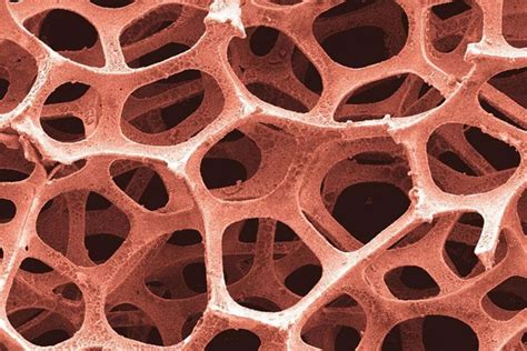 3D POROUS COPPER - SUNIWAY