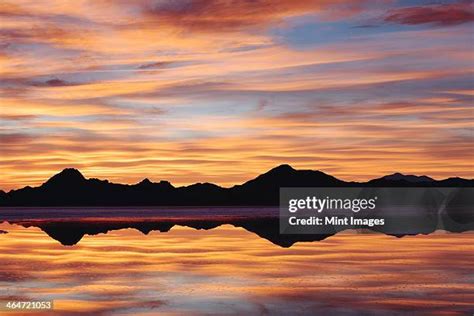 salt flats  night   premium high res pictures getty images