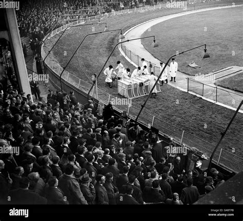 Greyhound Racing - Clapton Stadium, London Stock Photo: 105981747 - Alamy