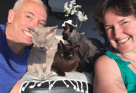Casino Cats | Entrepreneur's Odyssey