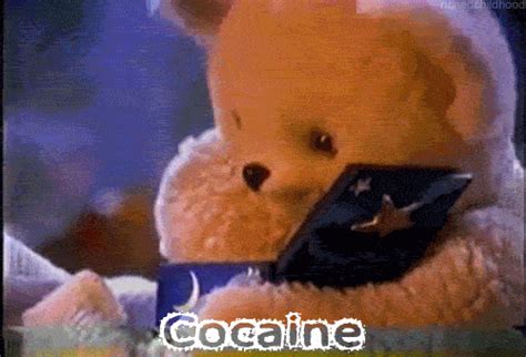 snuggle coke bear | Cocaine Bear | Know Your Meme