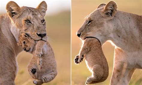 impact  perception  wrong perceptions lead  wrong emotions