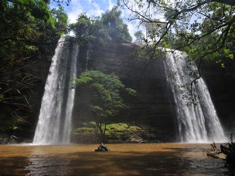 GHANA: Atewa Forest Reserve under threat from bauxite exploitation ...