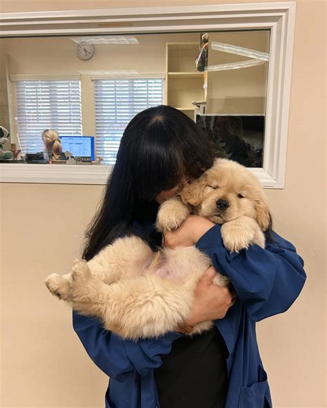 VCA Hermosa Animal Hospital (@vca_hermosa_animal_hospital) • Instagram