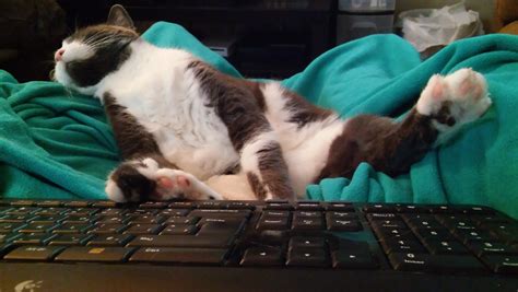 Zzzz Zzzz Zzzz Map 2