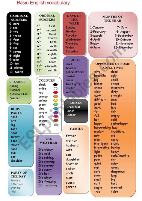 basic english vocabulary exercises
