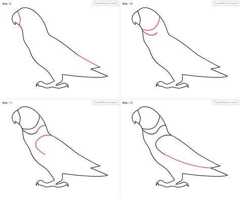Fpencil: How to draw Parrot for kids step by step