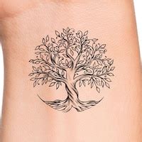 Elm Tree - Etsy