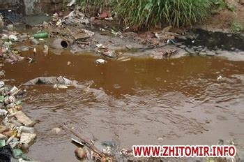 Житомир.info | Житомиряни поскаржились, що брудна вода зі сміттєзвалища ...