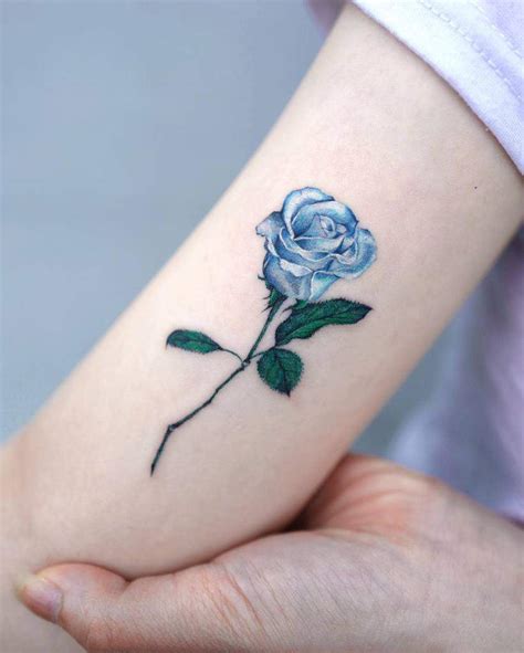 blue rose symbolism  rocio wilds blog