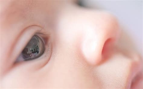 Com Quantos Dias O Bebe Começa A Enxergar - Quando o bebê começa a enxergar?
