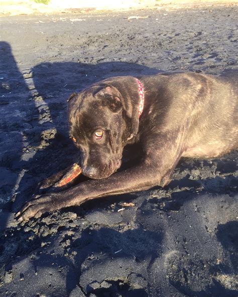 Tabitha Klausen Morreale (@tabifit) • Instagram photos and videos