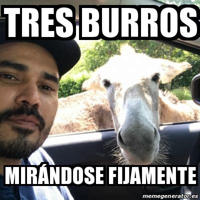 Meme Personalizado - Tres burros MirÃ¡ndose fijamente - 31283234