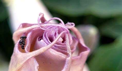 ID and behavior explanation please. What is going on here? If it was 2