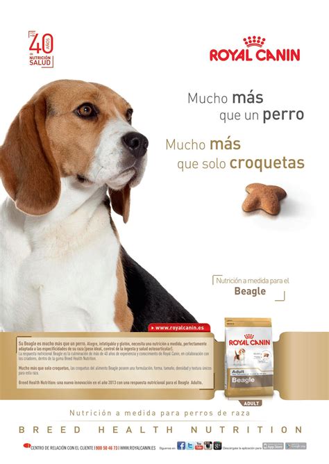 PÁGINA ROYAL CANIN: Indicadores clave para afrontar el futuro - Issuu