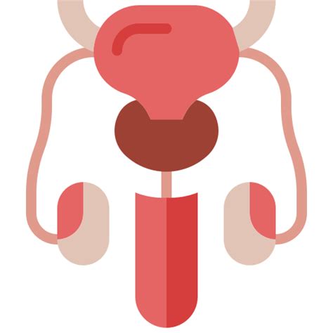 Reproductive system Generic Flat icon