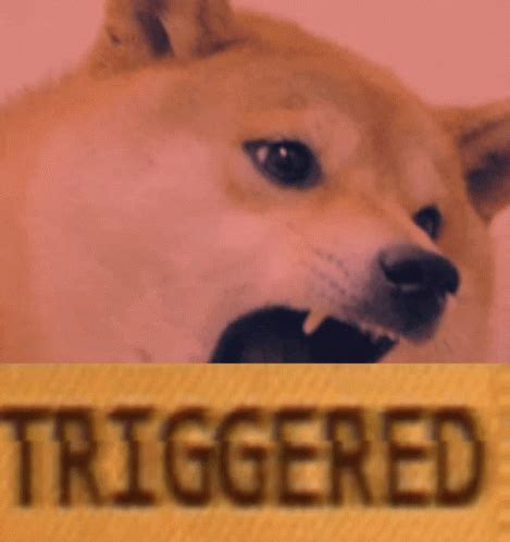 Doge Meme Triggered GIF - Doge Meme Triggered - Discover & Share GIFs