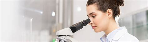 msc forensic science study  uk mwt consultancy