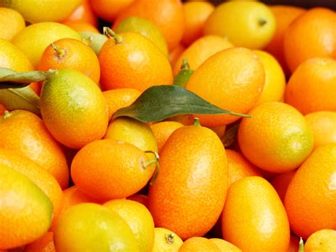 top  kumquat wallpaper full hd