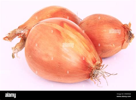 Onion Stock Photo - Alamy