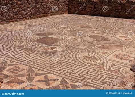 mosaicos en la antigua ciudad de volubilis en marruecos bajo la luz del