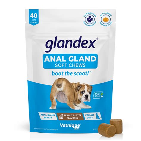 Vetnique Labs Glandex Digestive Health Anal Soft Chews for Dogs, Peanut