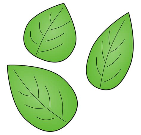 Листики картинки для детей