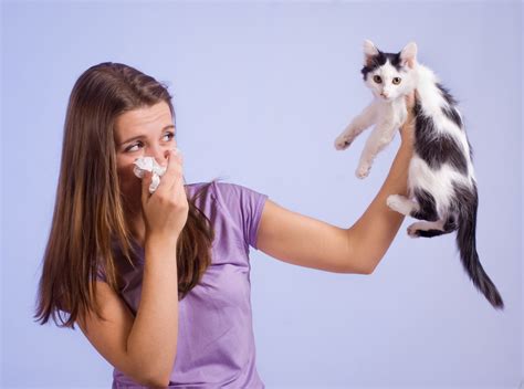 how long does it take allergies to go away