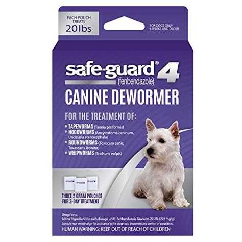 The Best Dog Dewormers of 2021 - Pet Life Today