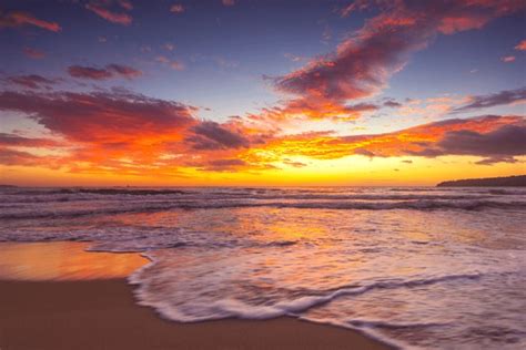 ocean sunset images stock   objects vectors