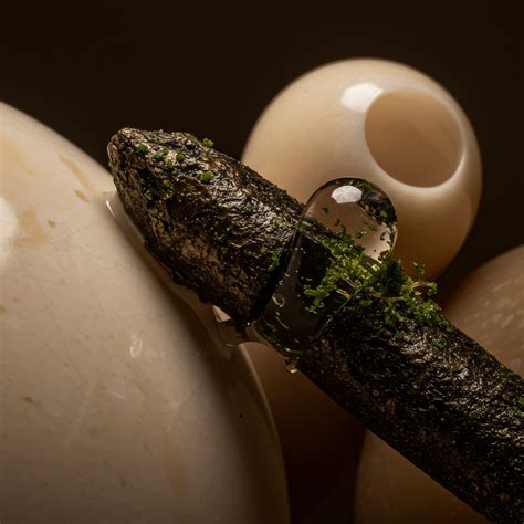 Environmental Influences That Shape Behavior Are Referred To As 7