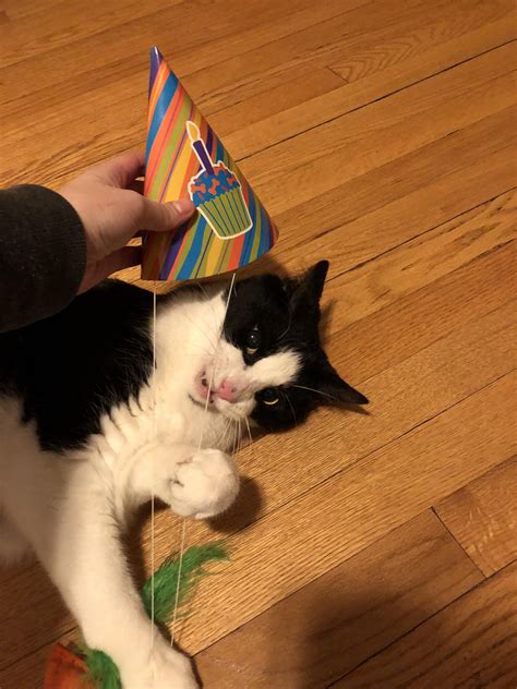 happy birthday sammy 9