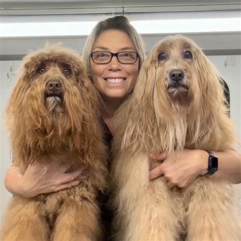 Jolly Paws Mobile Pet... - Jolly Paws Mobile Pet Grooming