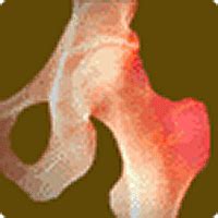 hip logo cool branding   hip website