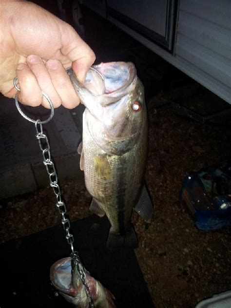 Missouri Fishing Photo Gallery - MO Fish Finder