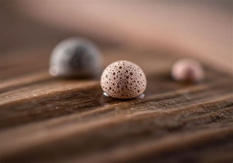 Cultural Activities → Term