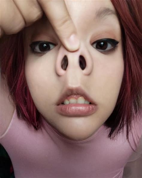 pignose_shoutout • Instagram photos and videos