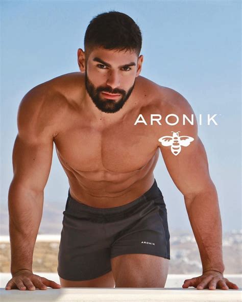 ARONIK MODEL | MATTHEW'S ISLAND