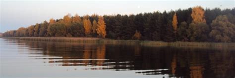 Токарево