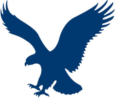 Blue Eagle Logo