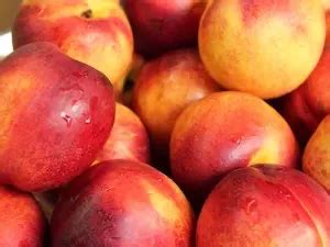 Nectarine Nutrition Facts | NatureClaim