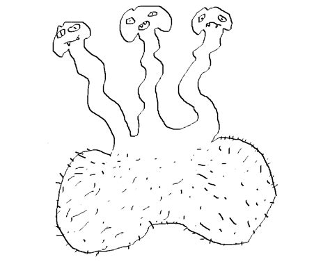 Phallic Symbols Excerpt | misery tourism