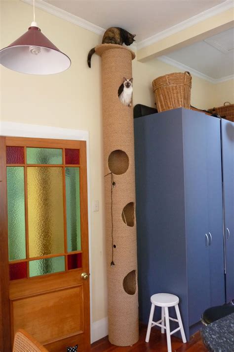 Hicat floor to ceiling cat climbers – Artofit