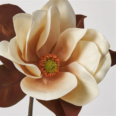 Real Touch Classic Fall Brown Magnolia Bloom Wired Branch Spray - 26