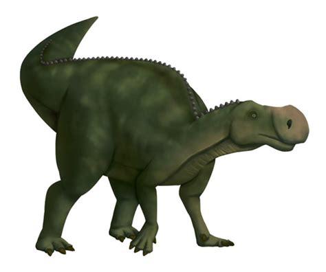 latirhinus dinopedia fandom