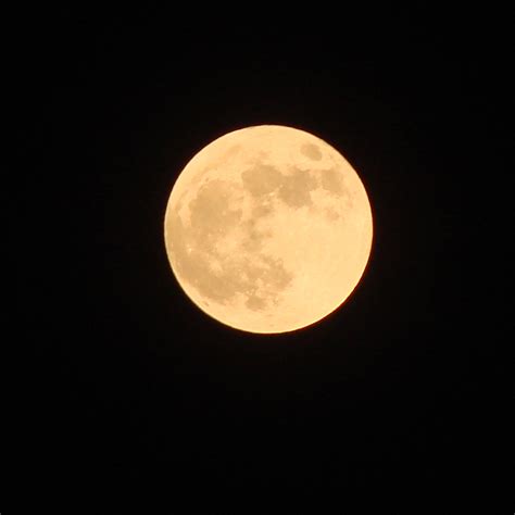 The Full Moon Two Free Stock Photo - Public Domain Pictures