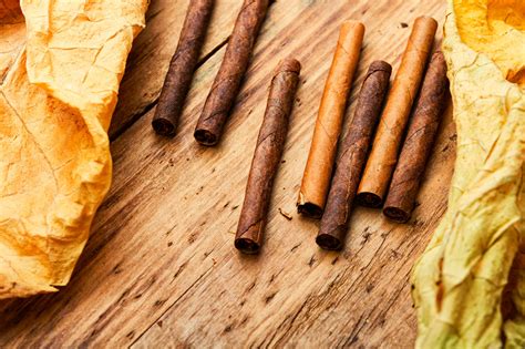 cigar   beginners guide  cigar smoking leaf  ash